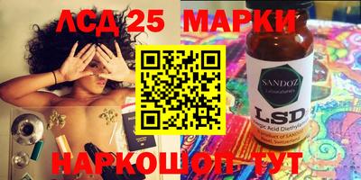 спиды Обь