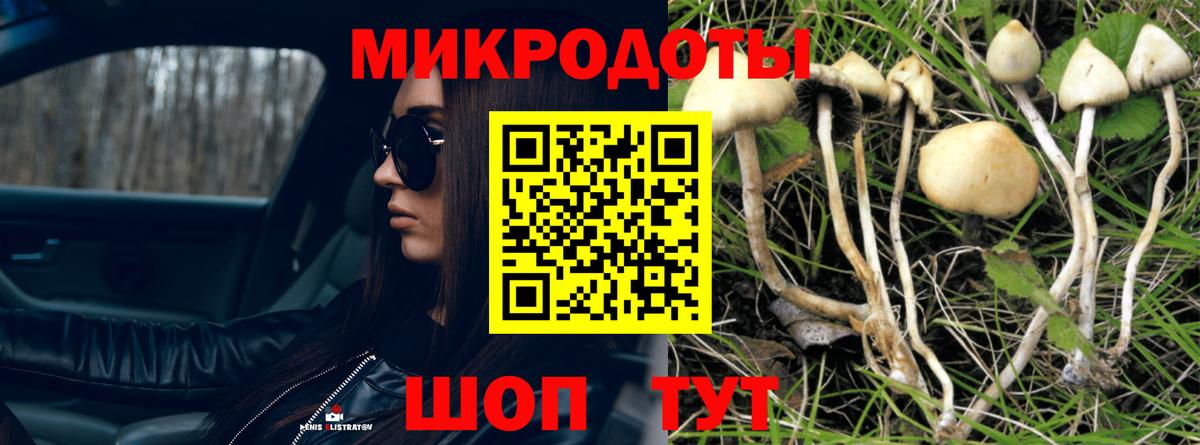 Галлюциногенные грибы прущие грибы Нарьян-Мар