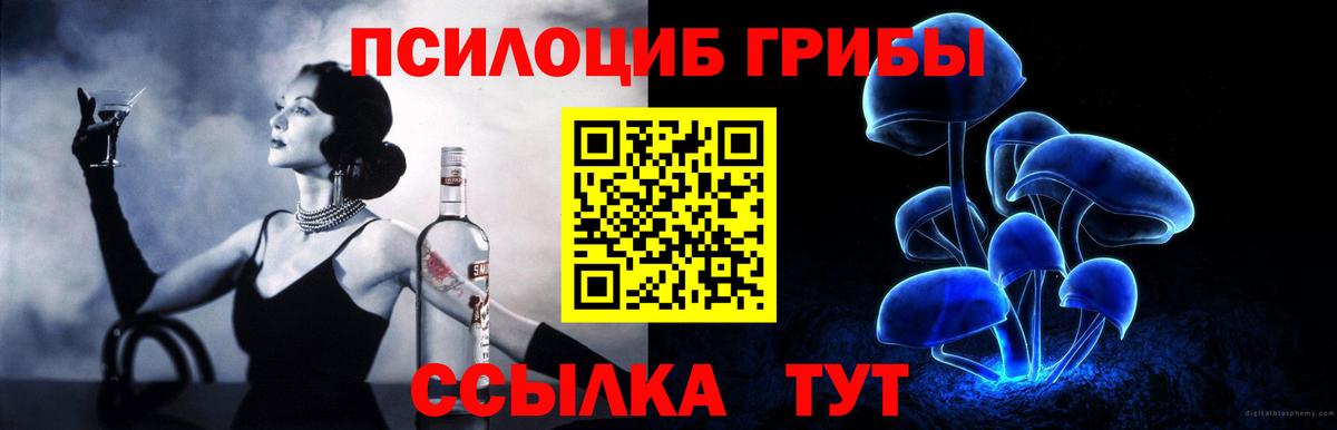 хочу наркоту  Псилоцибиновые грибы Psilocybe  Вход с VPN  Нарьян-Мар 